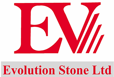 Evolution Stone